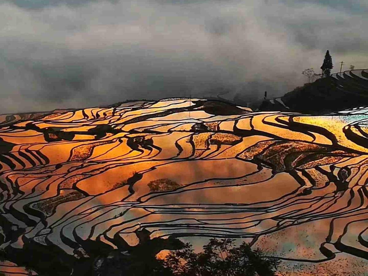 Hotel Beyond The Cloud Yuanyang  Zewnętrze zdjęcie
