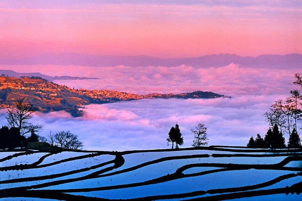 Hotel Beyond The Cloud Yuanyang  Zewnętrze zdjęcie