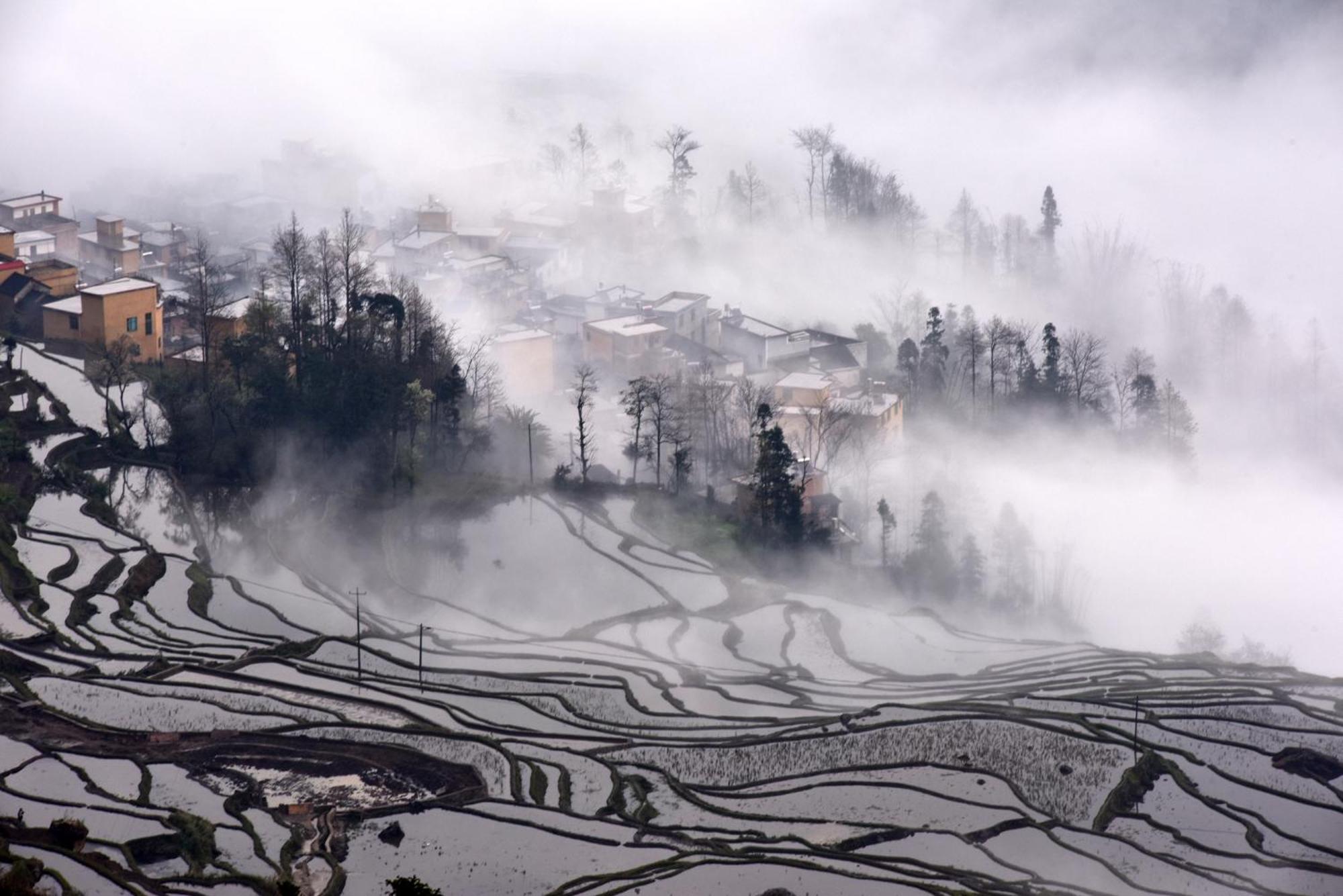 Hotel Beyond The Cloud Yuanyang  Zewnętrze zdjęcie